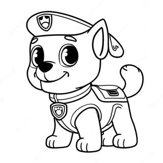 Paw Patrol Zuma Varittamislehti 40023-31638