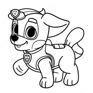 Paw Patrol Zuma Varittamislehti 40023-31639