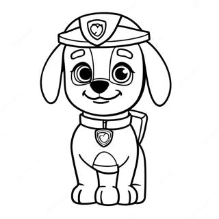 Paw Patrol Zuma Varittamislehti 40023-31640